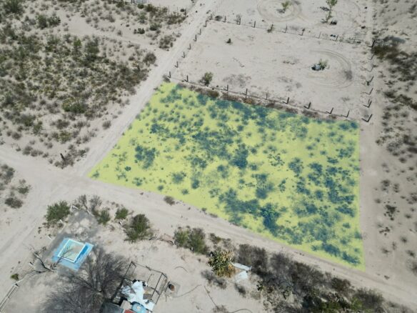 Terreno en Venta Sección Quinta Jacarandas 1,380m2