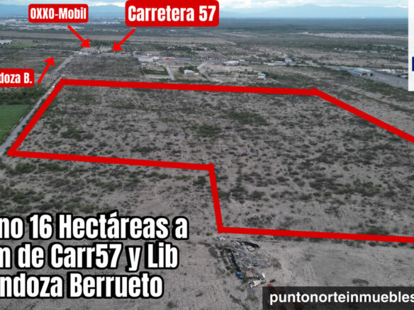 Terreno 16 hectáreas a 500 metros de la Carr57 y Mendoza Berrueto (Completo o en Partes)