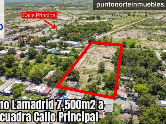 Terreno en Venta Lamadrid, Coah 7,500m2