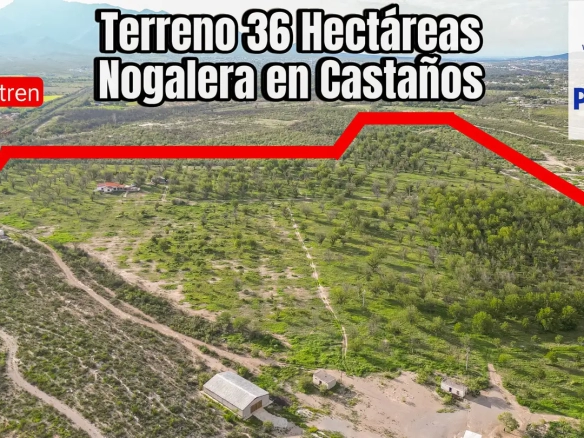 Terreno 36 HA Nogalera en Castaños