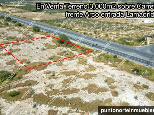 Venta Terreno 3,000m2 sobre Carrera 30 frente Arcos Lamadrid, Coah