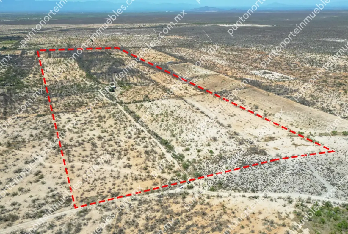 Venta Terreno 22.7 Hectáreas delimitadas en Estancias de San Juan, colinda con Rio Monclova