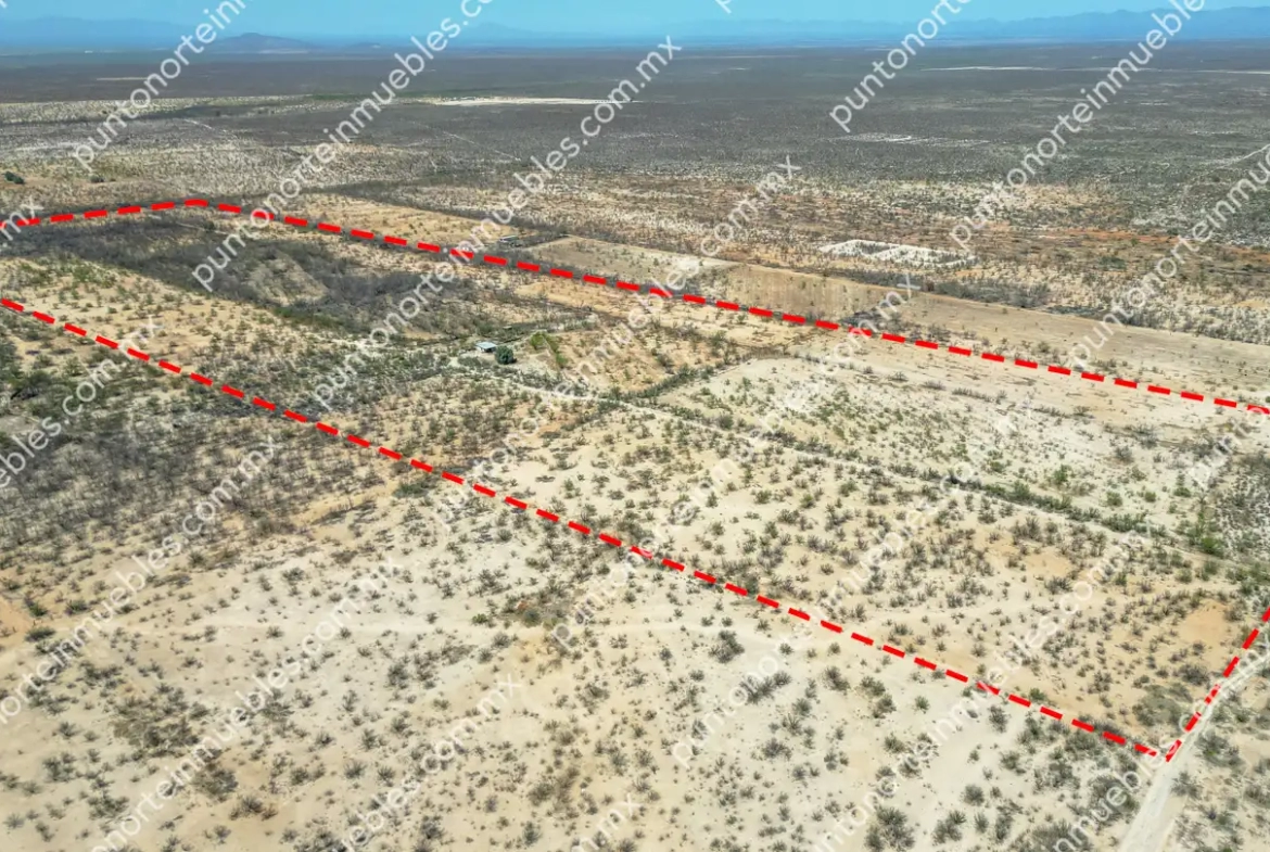 Venta Terreno 22.7 Hectáreas delimitadas en Estancias de San Juan, colinda con Rio Monclova