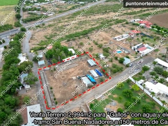 Venta Terreno 2,994m2 para “Gallos” con agua y electricidad tramo San Buena-Nadadores a 150 metros de Carretera 30