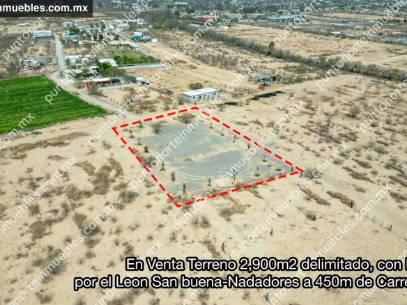 En Venta Terreno 2,900m2 delimitado, con Encinos, por el Leon San buena-Nadadores a 450m de Carretera 30