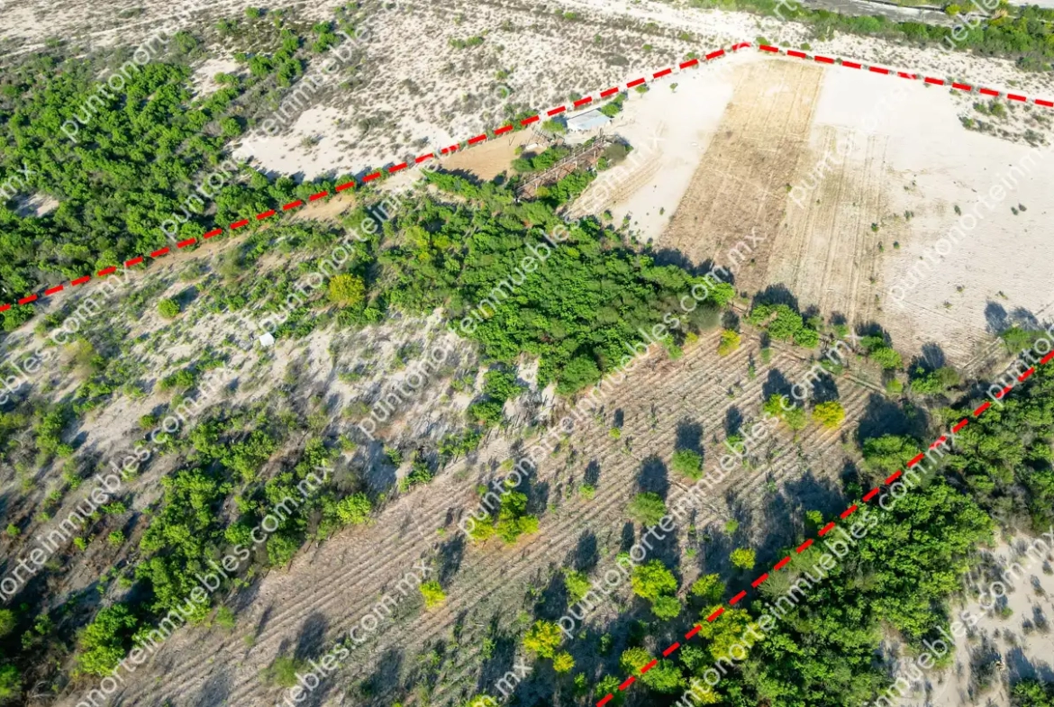 Venta Terreno 7 Hectáreas delimitado en Estancias de Santa Ana, cerca de Rieles