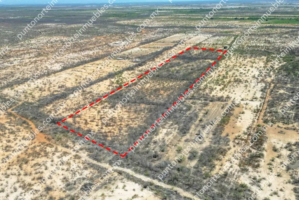 Venta Terreno 7.5 Hectáreas delimitadas en Estancias de San Juan