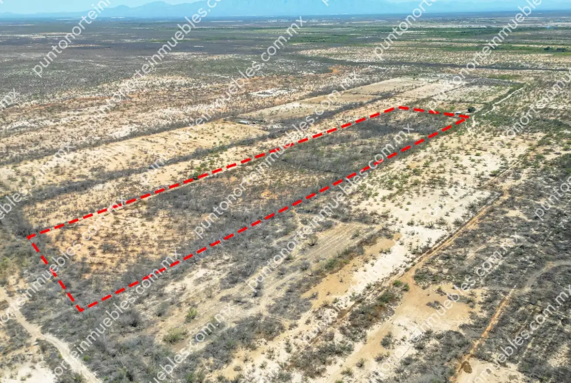 Venta Terreno 7.5 Hectáreas delimitadas en Estancias de San Juan