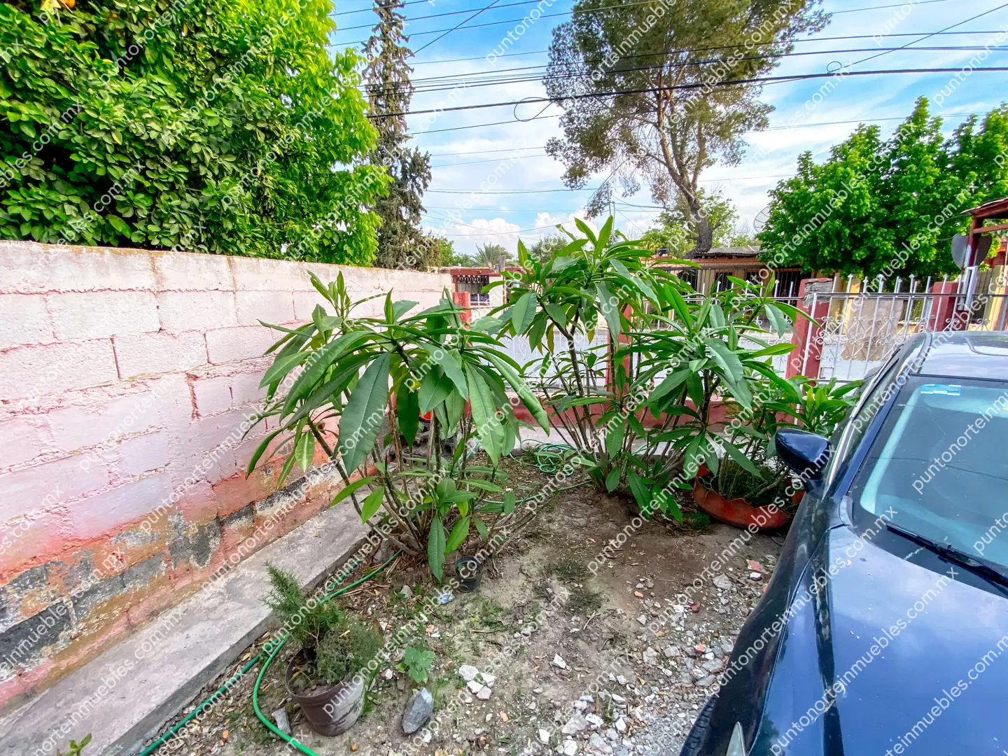 Casa Calle Victoria San Buena 06 En Venta Casa 3 Recámaras a espaldas Soriana San buena con 325m2 de Terreno, Zona Centro San Buena