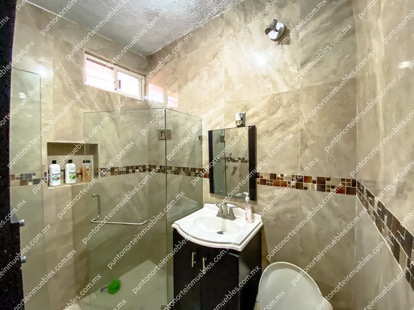 Casa Calle Zaragoza San Buena 15 Venta Casa Tipo Quinta con 3 Recamaras, Cocina con Granito, Local Comercial y Alberca, Terreno de 500m2, San Buena