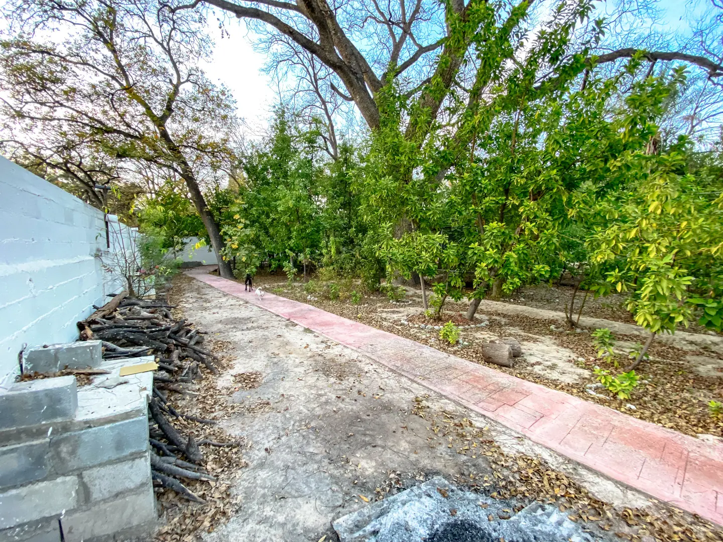 Venta Quinta Casa Habitación y Alberca en Lamadrid