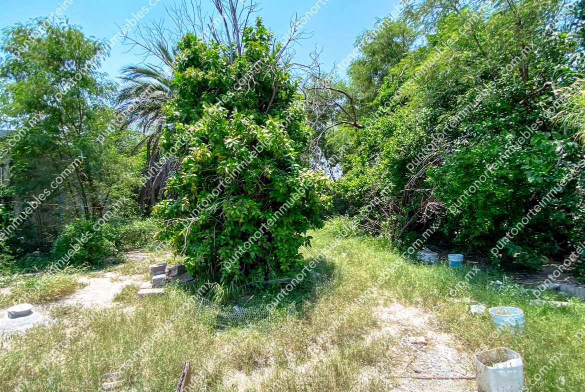 Venta Casa Antigua con Terreno, 2 frentes, uno da con Av. Suzanne Lou Pape 480m2, Col Progreso, todos los servicios